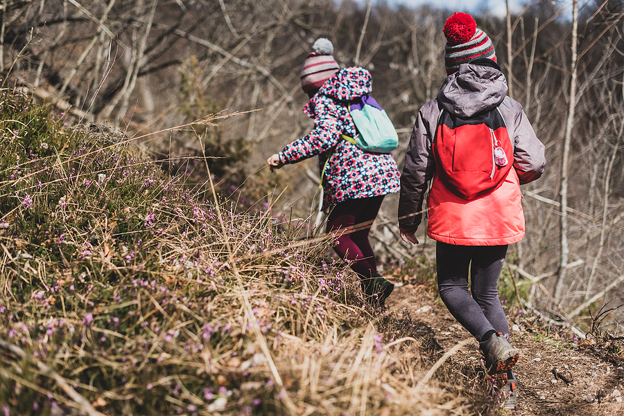 What About A Foraging Holiday This Year?