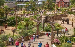 Chester Zoo