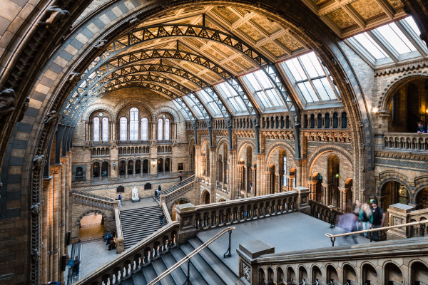 Natural-History-Museum