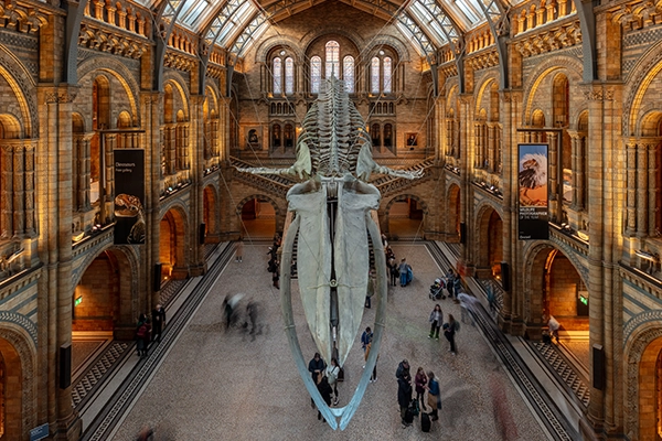 Museums & Learning Centres