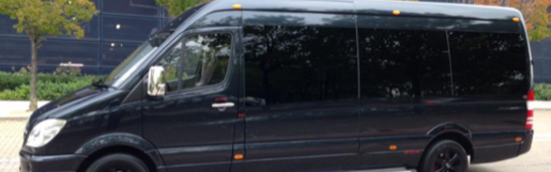 Terms and Conditions